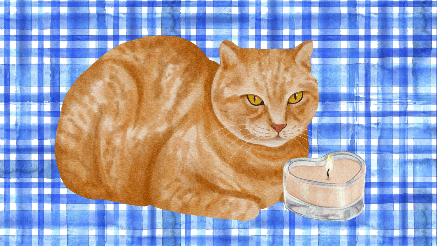 Artwork banner of orange cat with candle in front of blue plaid pattern.