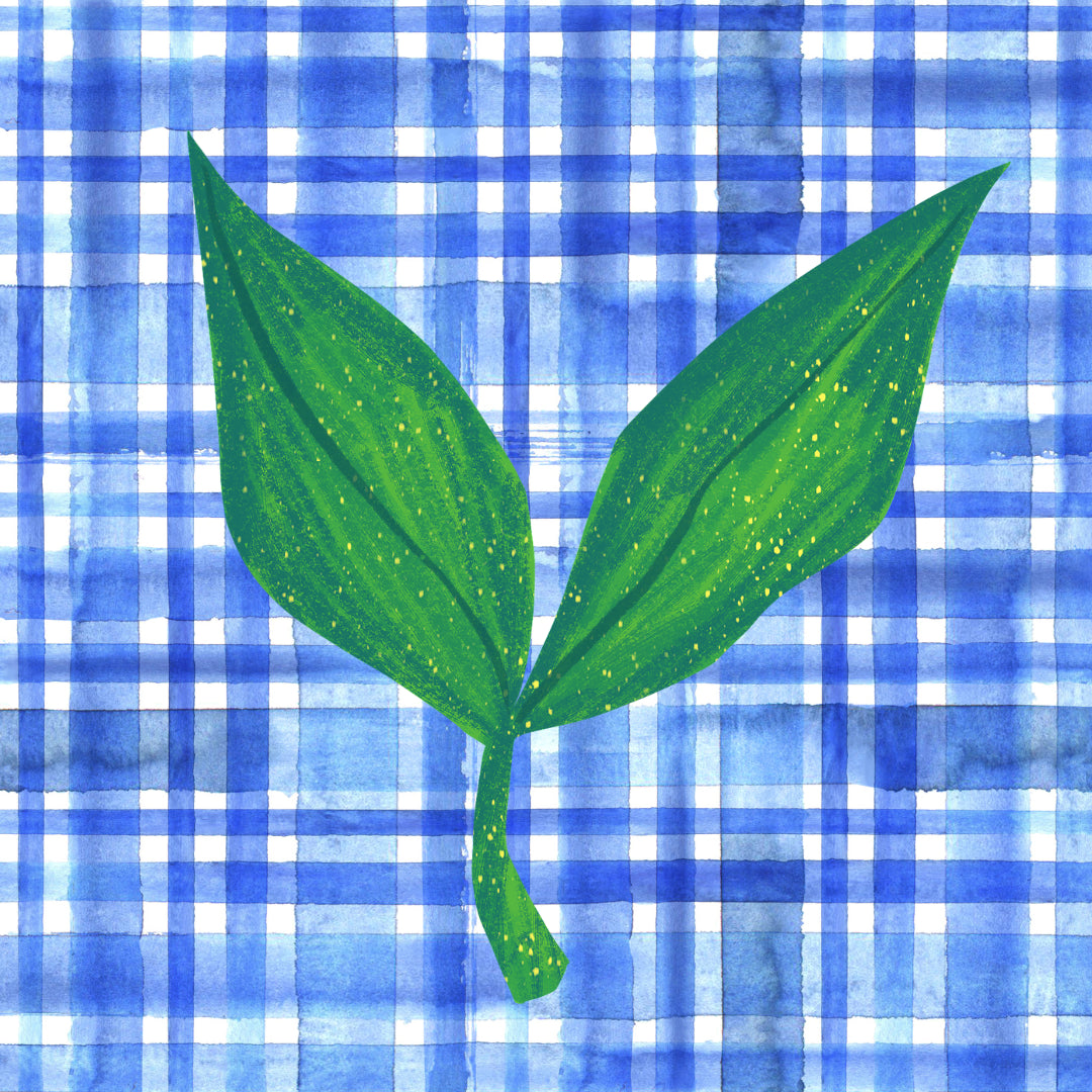 Artwork of green soy leaf drawing in front of blue plaid pattern.